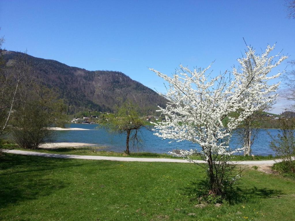 Aparthotel Buchauer-Tirol Thiersee Exteriér fotografie